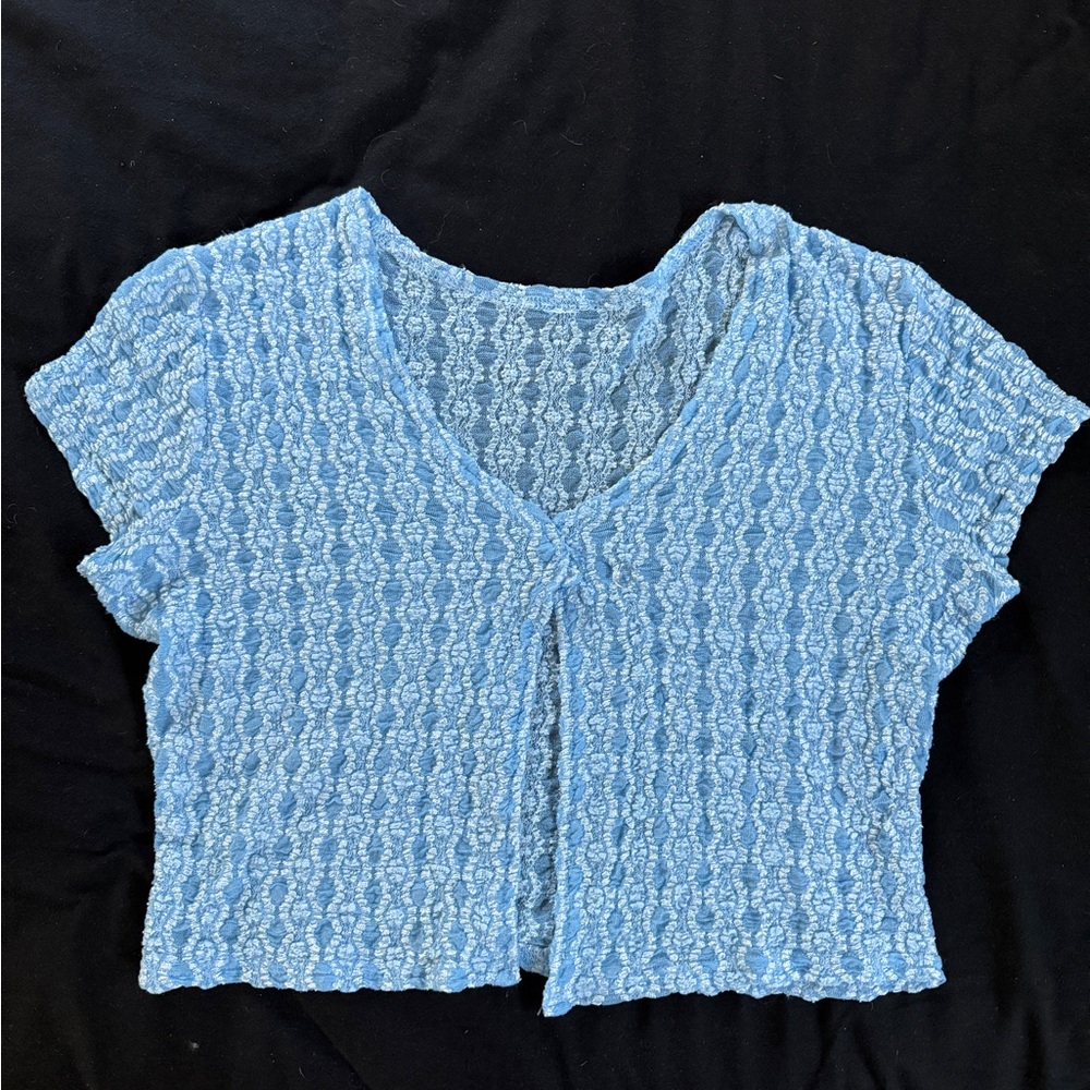 Vintage Reformation Blue Crop Top